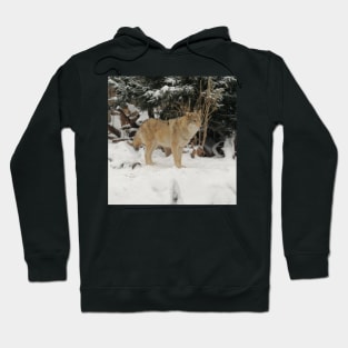 Snow Wolf Hoodie